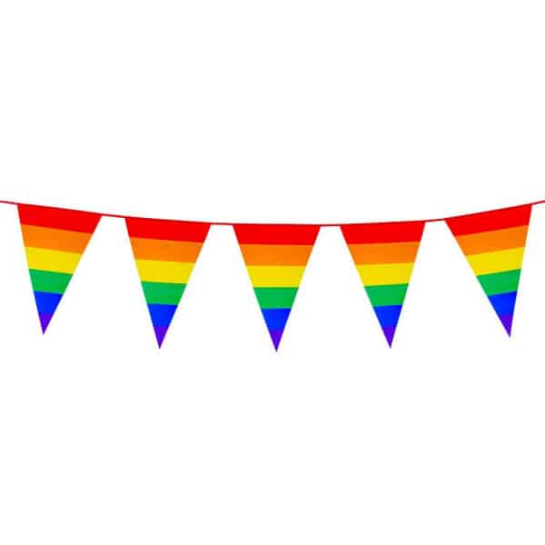 XL RAINBOW TRIANGLE PARTY BUNTING - 8M