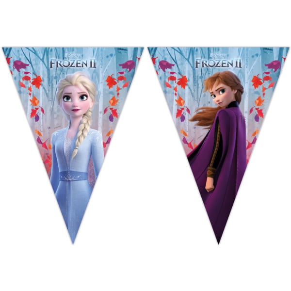 Disney's Frozen 2 Triangle Party Bunting - 2m