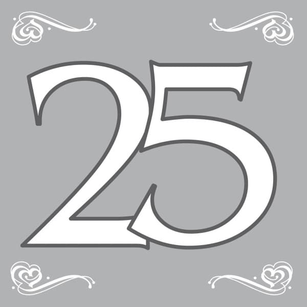 20 x Silver 25th Anniversary / Birthday Paper Party Napkins - 33cm