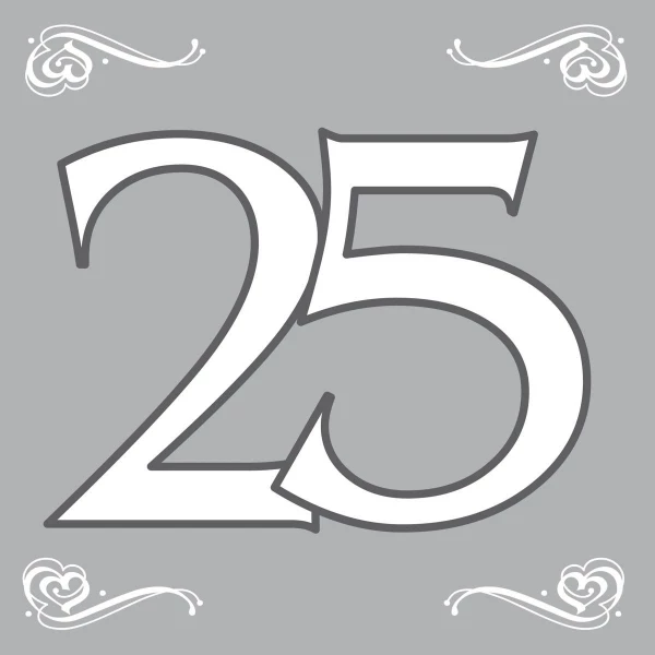 20 x Silver 25th Anniversary / Birthday Paper Party Napkins - 33cm