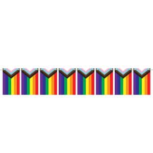 Progress Pride Rainbow Flag Bunting - 1.35m