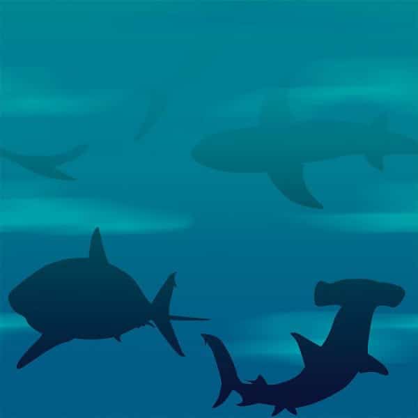 Shark Attack Party Tablecloth - 2.7m x 1.3m
