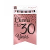 30th Birthday Rose Gold & Black Pennant Bunting - 6m