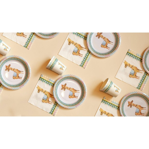 24 x Fun Mexican Llama Party Tableware Set