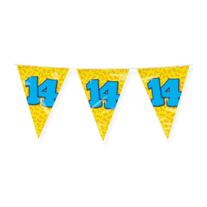 14th Birthday Colourful Party Bunting - 10m
