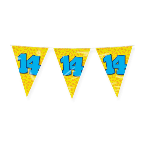 14th Birthday Colourful Party Bunting - 10m