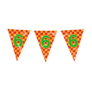 6th Birthday Colourful Party Bunting - 10m