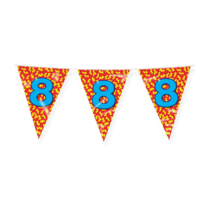 8th Birthday Colourful Party Bunting - 10m
