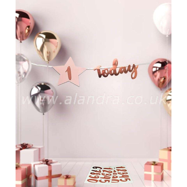 Birthday Customisable Age Pink & Rose Gold Letter Banner - 2m