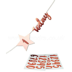 Birthday Customisable Age Pink & Rose Gold Letter Banner - 2m