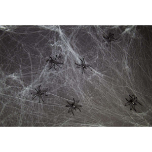 Spiderweb Decoration with Spiders