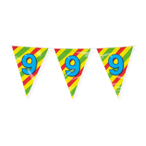 9th Birthday Colourful Party Bunting - 10m