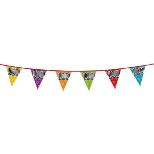 100th Birthday Multicoloured Holographic Bunting - 8m